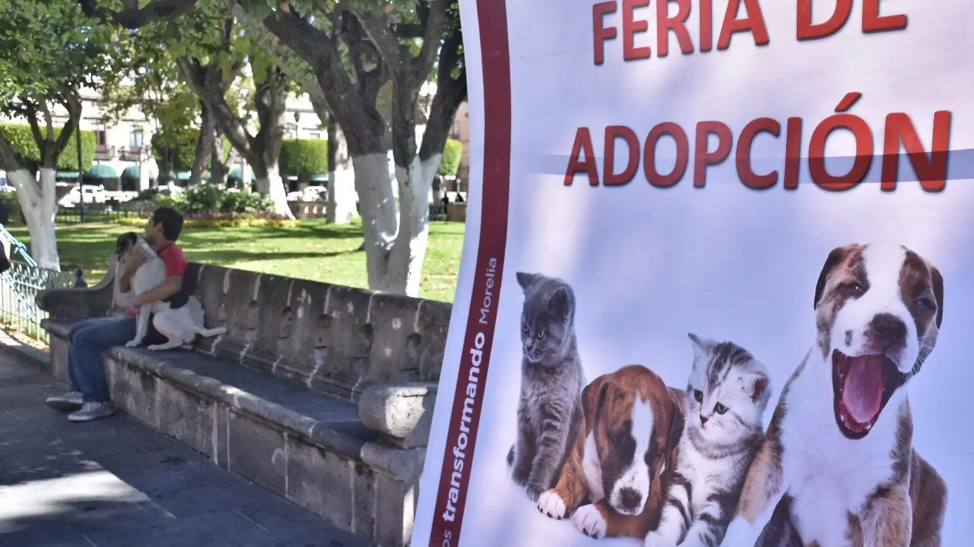 2701 FERIA ADOPCION (FMM) (1)